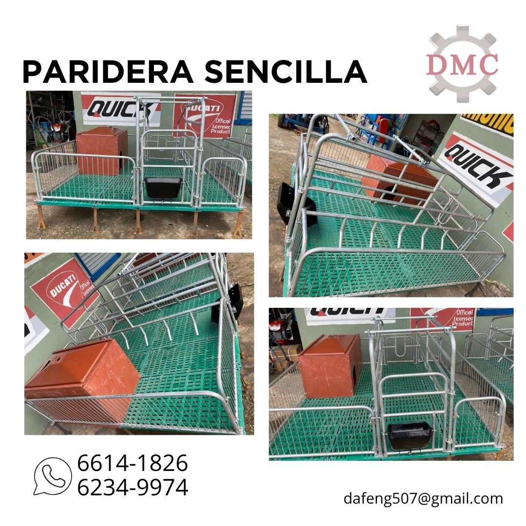 Área de Parideras Sencilla para una cerda con barandales, comedero y bebederos para la madre y lechocnes
