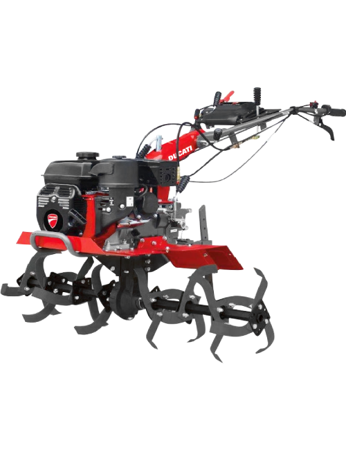 Motoasada DUCATI DTL10000