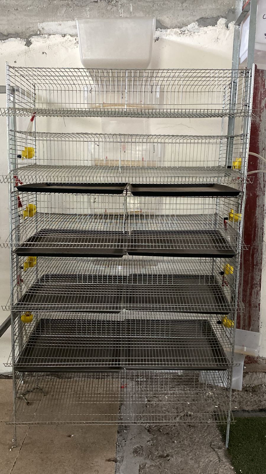 Jaula de codorniz completa de 6 niveles