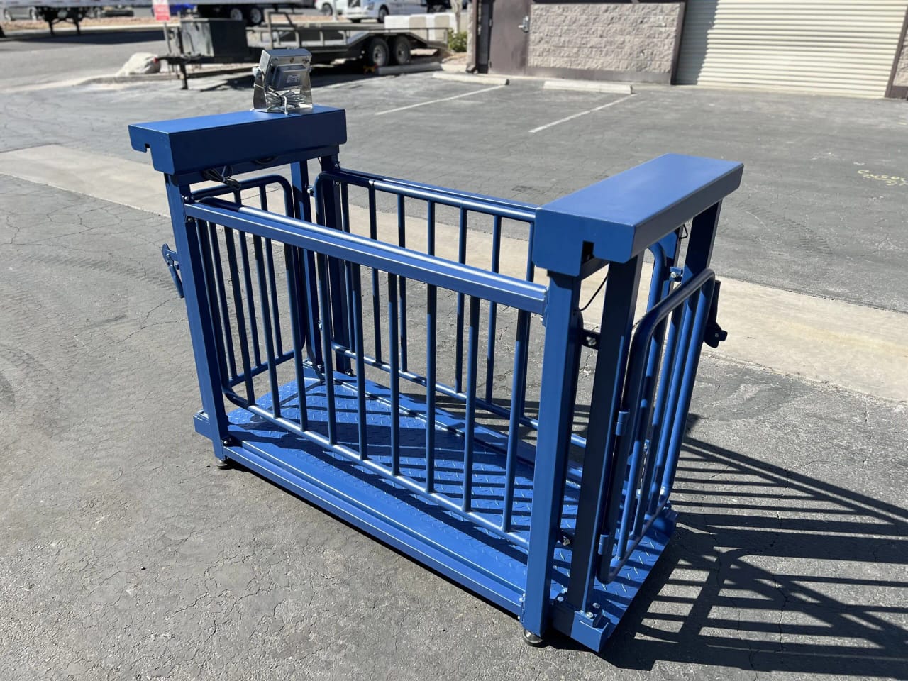 BASCULA PORCINA CON CORRAL