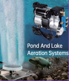 Oxigenador - aireador com plato difusor