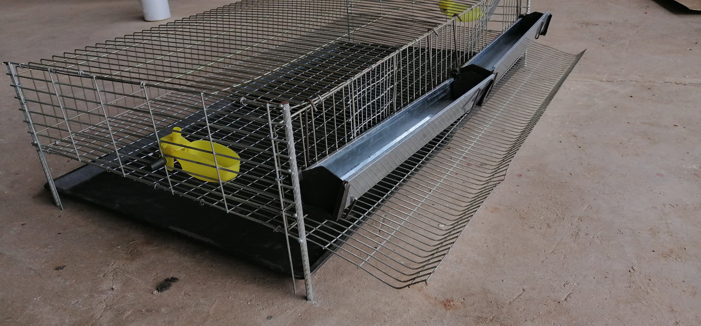 Jaula de Codorniz de 1 piso