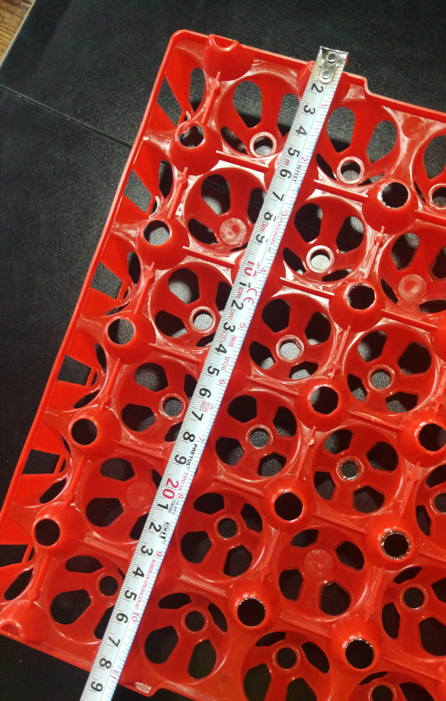 Porta huevos de gallinas