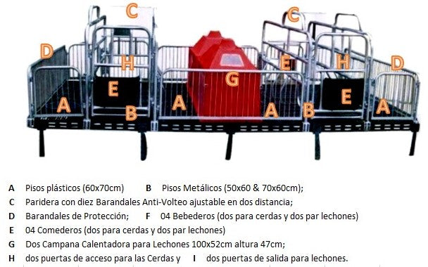 Paridera para Cerdo Doble completa con barandales, pisos, calentador