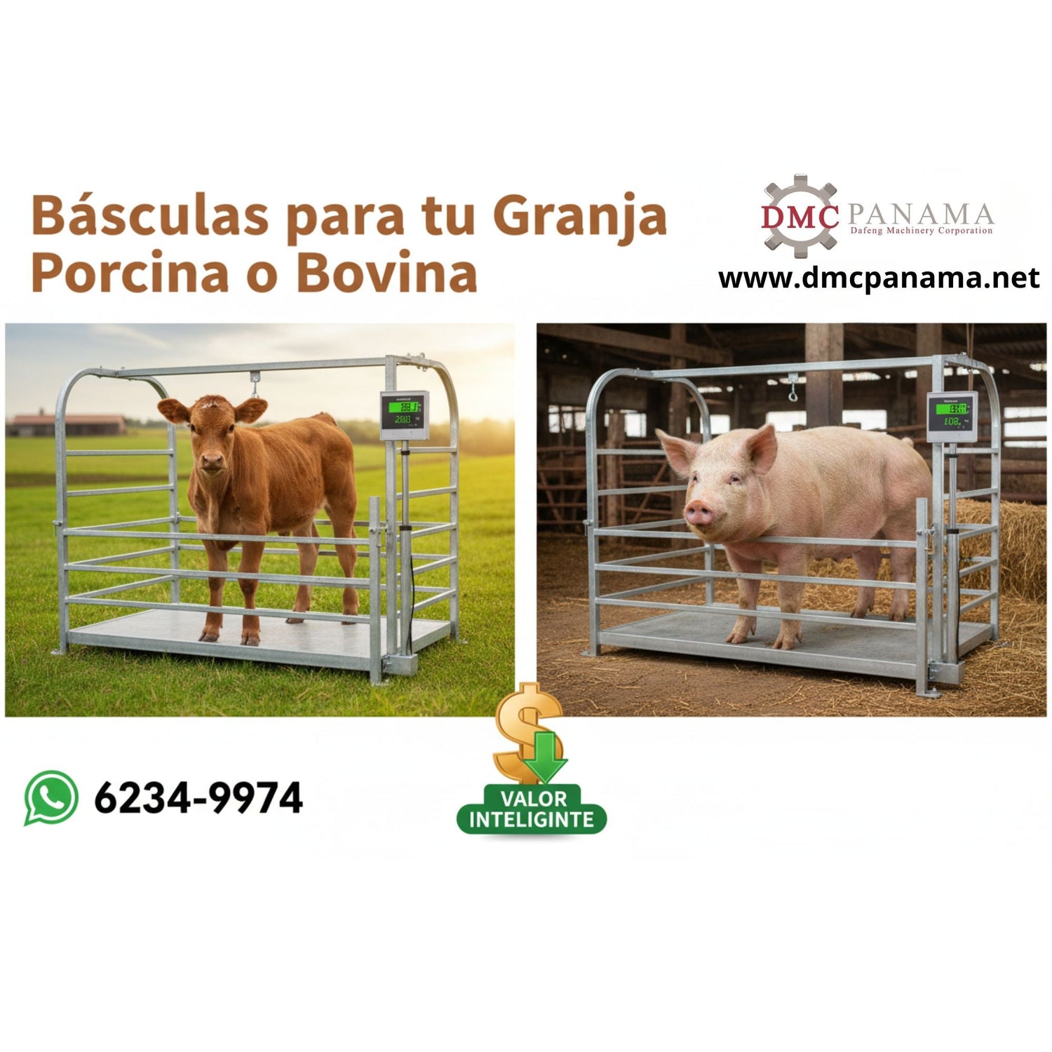 Báscula industrial de plataforma para pesaje de cerdos, bovino en granja.