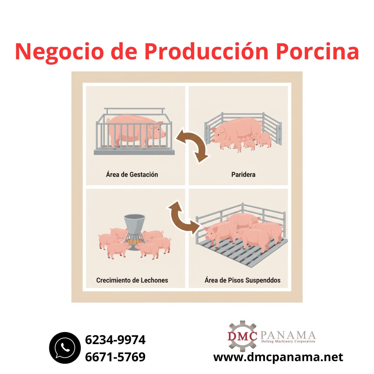 Equipo Porcino Profesional – Soluciones para Gestación, Maternidad y Destete