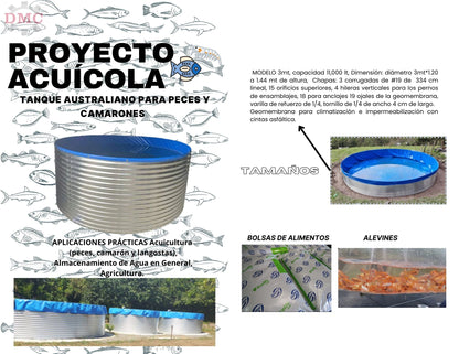 Tanque Australiano con Geomembrana 6m x 1.20m | Acuicultura y Riego | DAFENG Panamá
