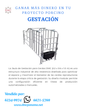 Jaula de Gestación para Cerdos 2.2x0.6m | Acero Galvanizado DMC