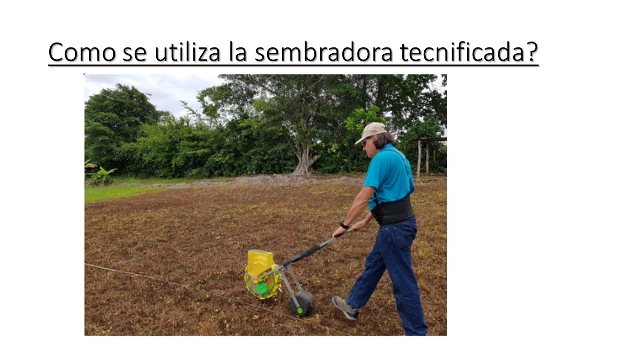 SEMBRADORA DE GRANOS (una tolva doce salidas)