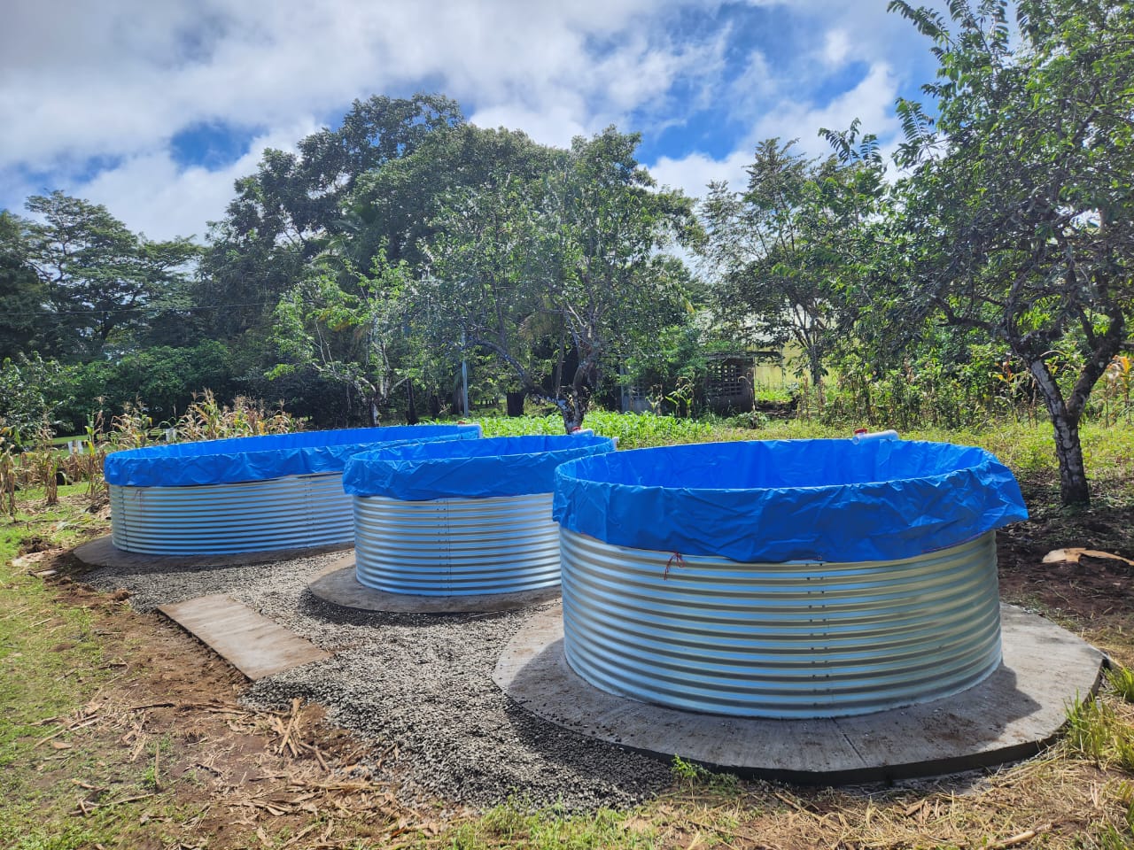 Geomembrana Cría de Peces con 6Mt Diámetro - no incluye esqueleto metálico
