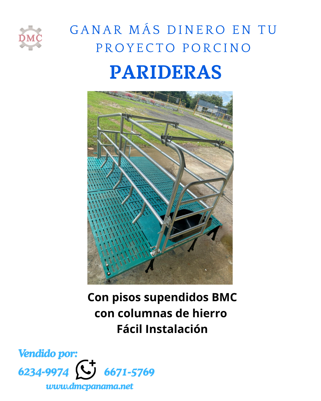 Paridera Sencilla con Barras Antivolteo para Cerdos | DMC