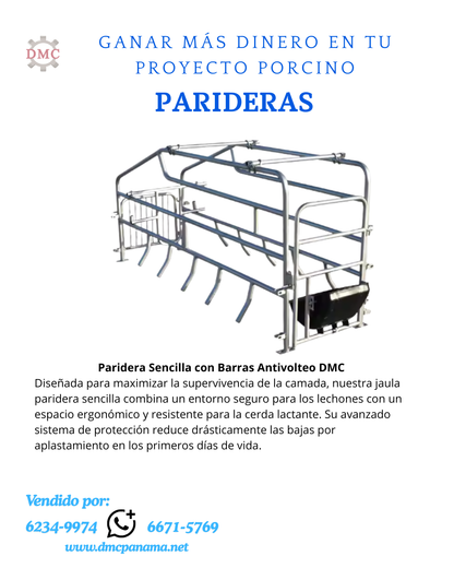 Paridera Sencilla con Barras Antivolteo para Cerdos | DMC