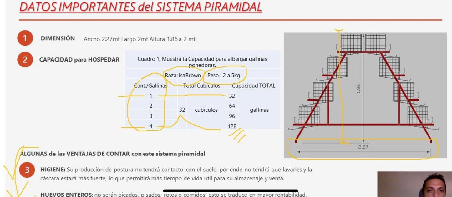 Sistema Jaula Piramidal para Gallinas Ponedoras - OPCIÓN desarmada - delivery
