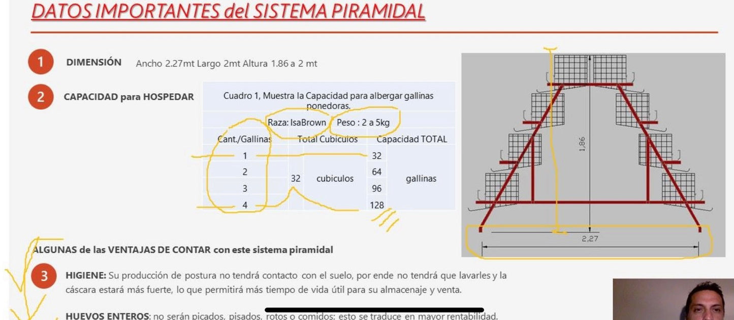 Jaula Piramidal para Gallinas Ponedoras Capacidad 96 A 128 GALLINAS PONEDORAS - armada