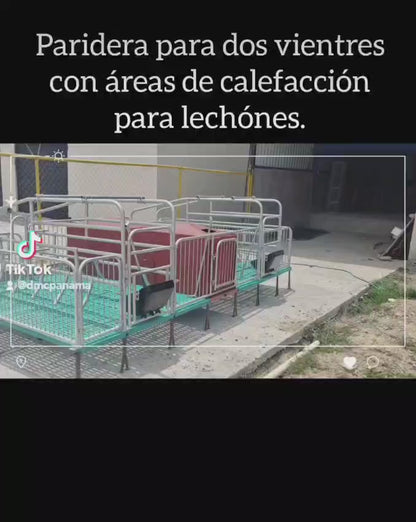 Paridera para Dos Cerdas con Calentador y Comedero
