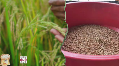 Piladora de Arroz y Maiz