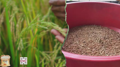 Piladora de Arroz y Maíz con motor gasolina  7.5hp