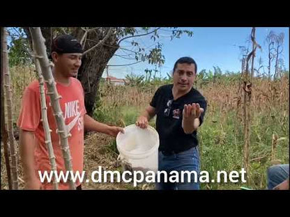 DESGRANADORA - DESHOJADORA