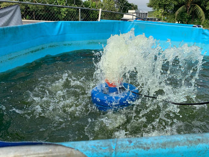 Bomba de Aireación ArcoIris Solar Directa CC (DC) | DMC Panamá