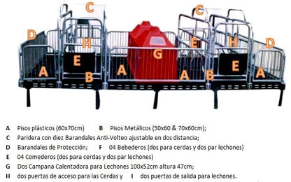 Paridera para Cerdo Doble completa con barandales, pisos, calentador